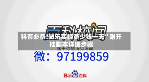 科普必备!微乐买挂多少钱一天	”附开挂脚本详细步骤-第2张图片