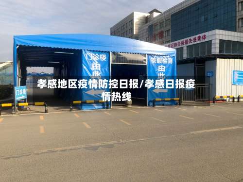 孝感地区疫情防控日报/孝感日报疫情热线-第2张图片