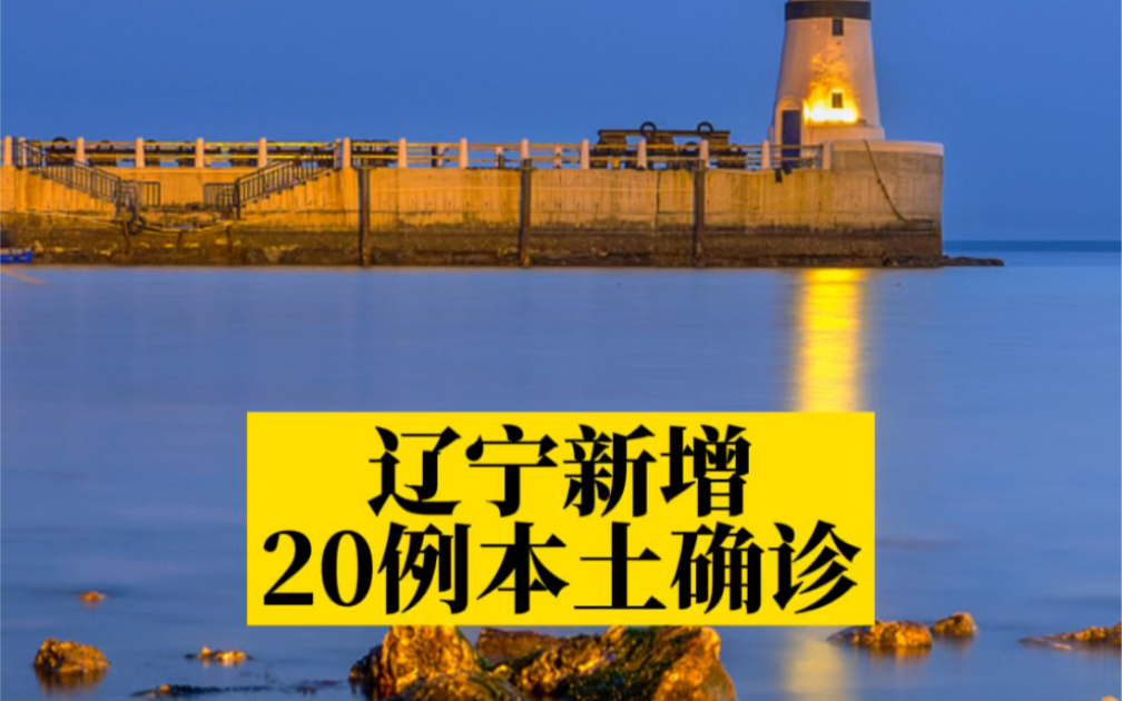 【辽宁新增20例本土/辽宁新增几例本土确诊】-第1张图片