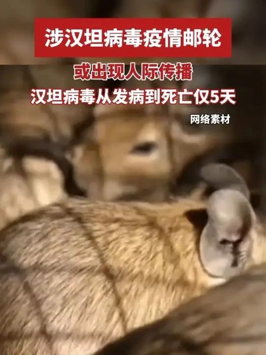 “专家:本轮全国疫情或在5月平复” 截止到5月1日24时全国疫情？-第2张图片