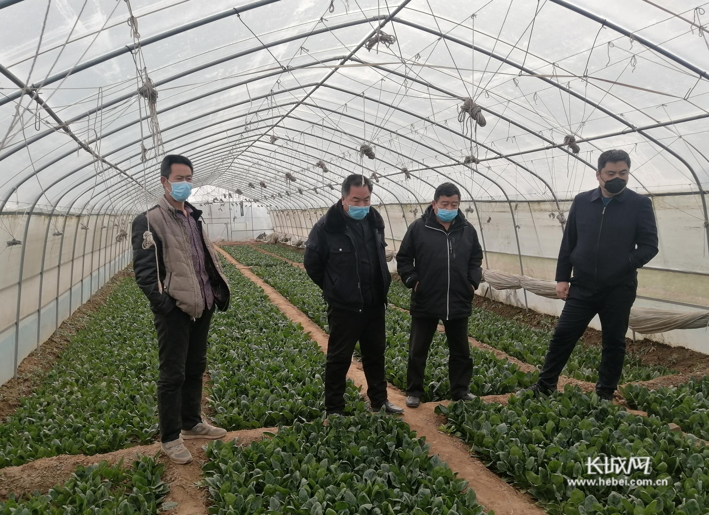 河北邯郸疫情最新情况最新消息︰(河北邯郸疫情最新信息)-第2张图片