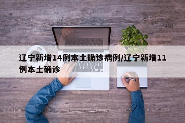 「辽宁新增2例本土确诊」〃辽宁新增2例本土确诊病例-第3张图片